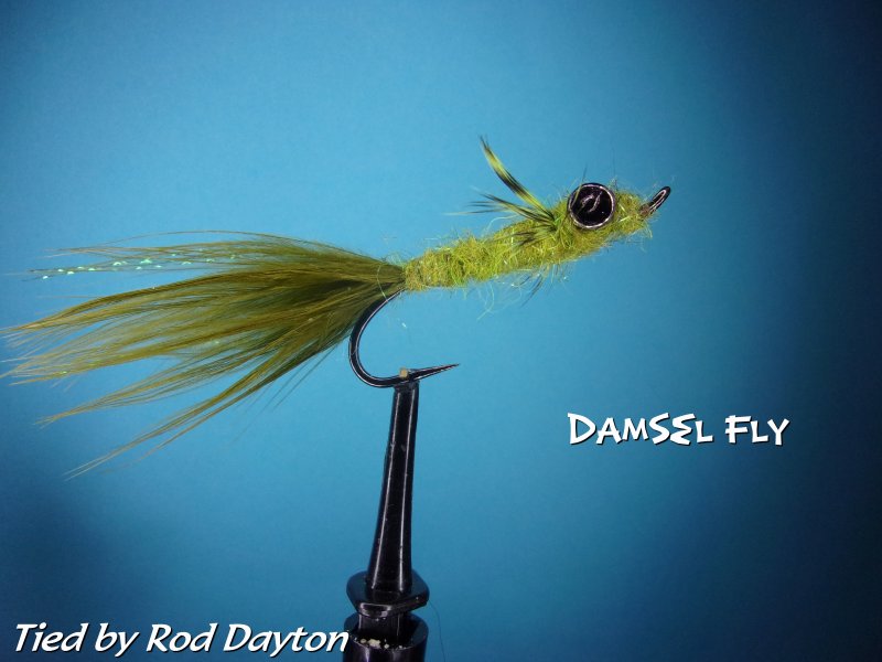 Damsel Fly .jpg