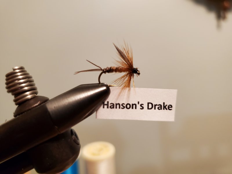 Hanson's Drake.jpg