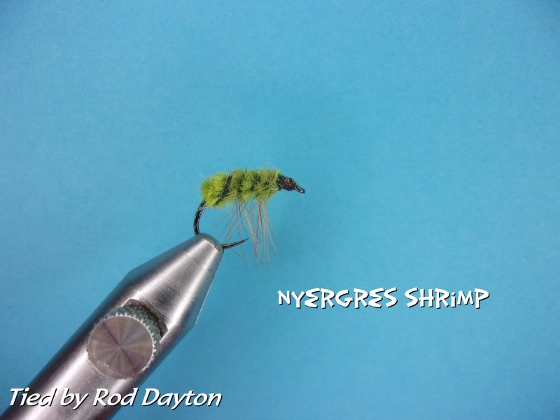 Nyergres Shrimp .jpg
