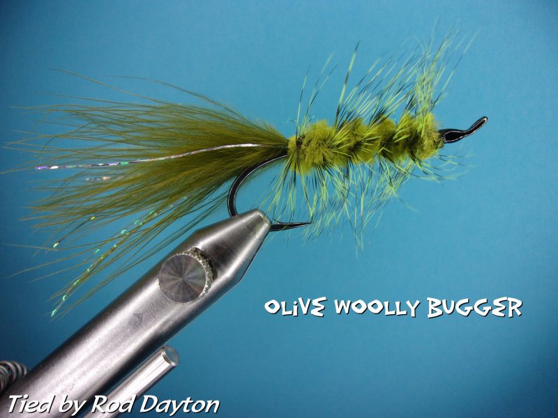 Olive Woolly Bugger.jpg