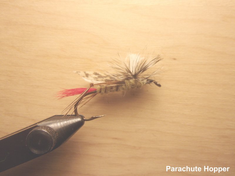 parahopper.jpg