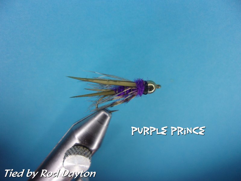 Purple Prince .jpg
