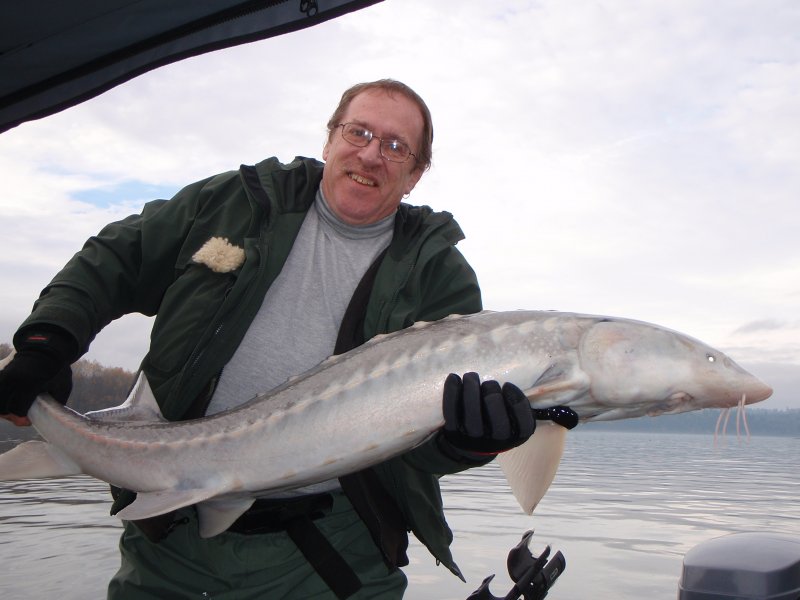My first sturgeon-Nov 16 2008.jpg