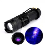 Protorch5.jpg