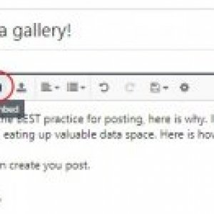 image from media gallery1.jpg