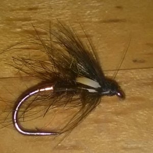 sooty olive and copper nymph.jpg