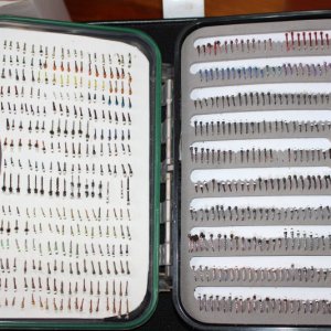 Chironomid box (working).JPG