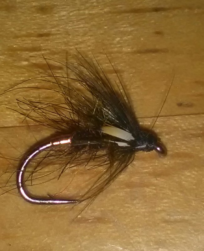 sooty olive and copper nymph.jpg